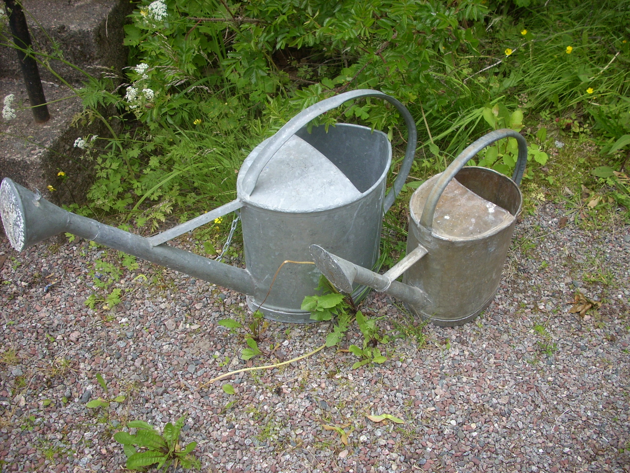 dscn2515