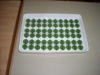 DSCN2948.JPG